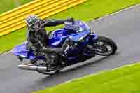 Lower Group Blue Bikes